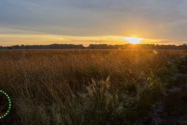HJD_2656
