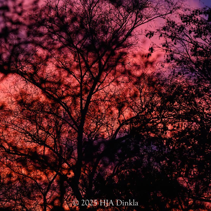 silhouette sunset